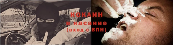 прущие грибы Строитель